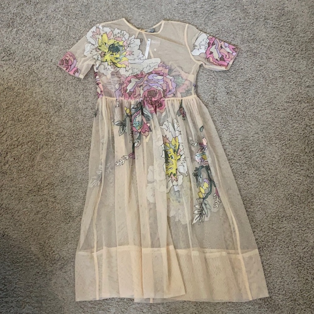 Nude colored embroidered sheer dress.